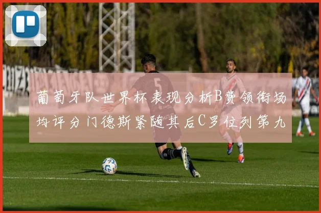葡萄牙队世界杯表现分析B费领衔场均评分门德斯紧随其后C罗位列第九